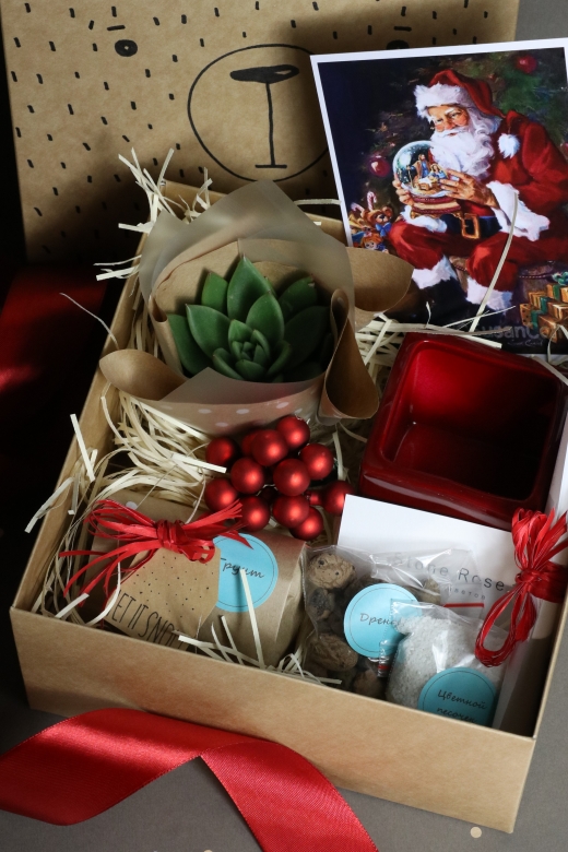 Подарочный набор Creative Succulens BOX Christmas